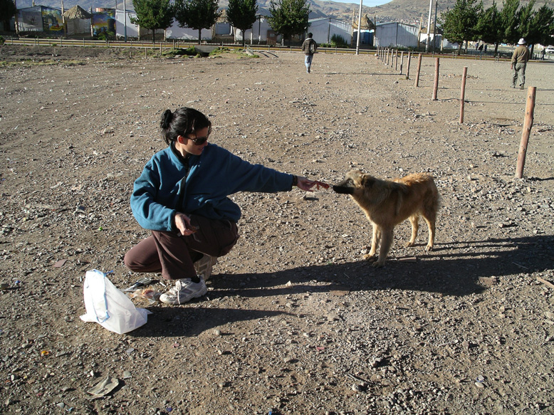 ni el perro queria el lomo....